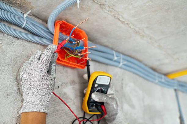 Best Electrician Near Me  in Guttenberg, IA