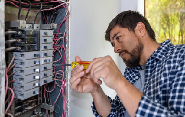 Best Ceiling Fan Installation Electrician  in Guttenberg, IA